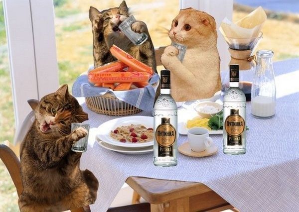 se faire un bon repas
