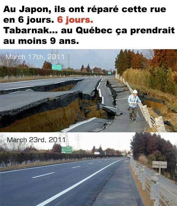 chat cé...ben 