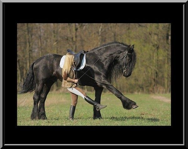 Pas danse...