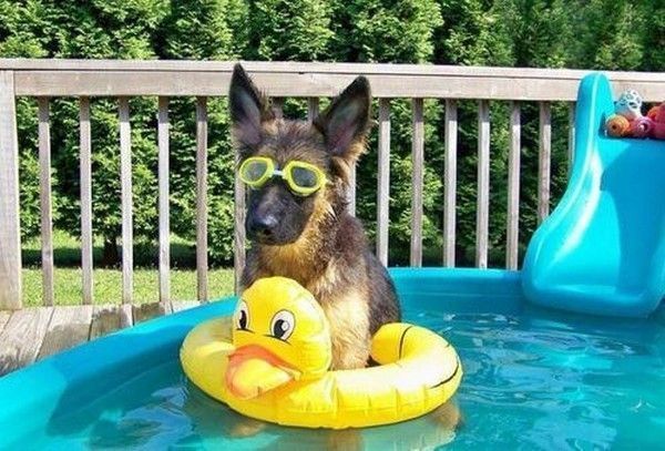 hi..hi..on reste prudent...