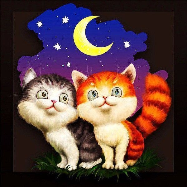 mimi..lunaires