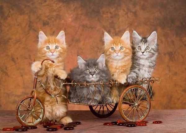 en route mes amis...