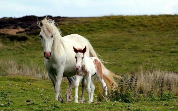 Bébé..printemps....