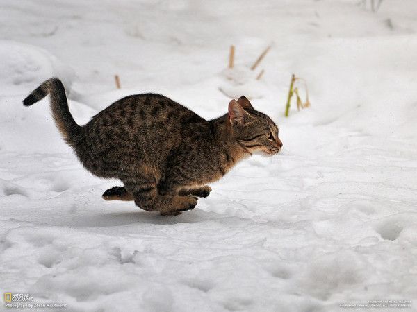 désolé...chat suis pressé..hi.hi..