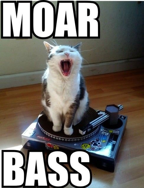 chat y'est hi.hi..