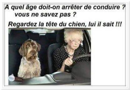Permis Conduires