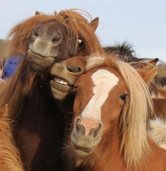 Et la famille...
