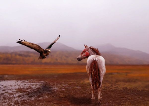 Superbe image...