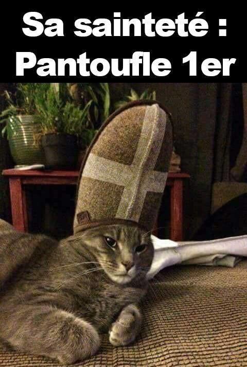 chat saint