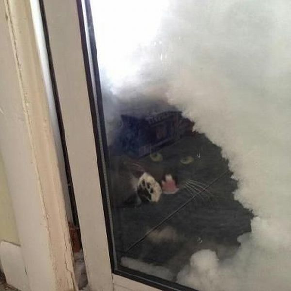 Hé....hé.....ici....mamy.....hi.hi..