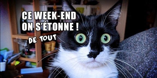 bon..plan...si