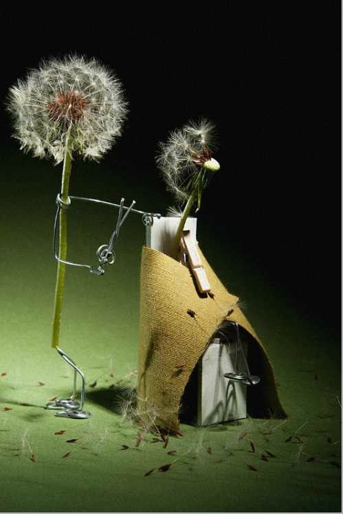 saison....du pollen..hi.hi