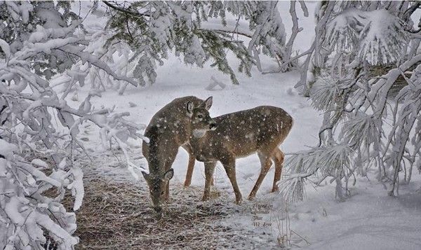 avec le froid