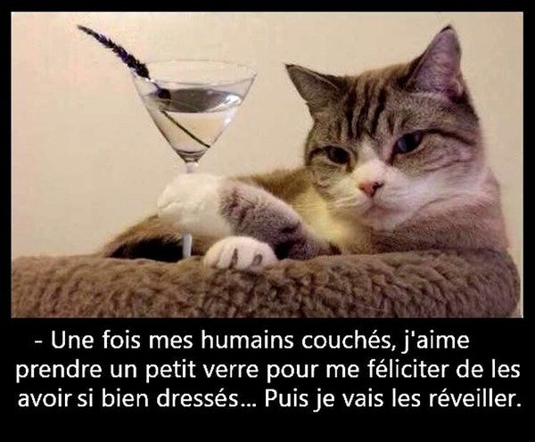 la mission de 