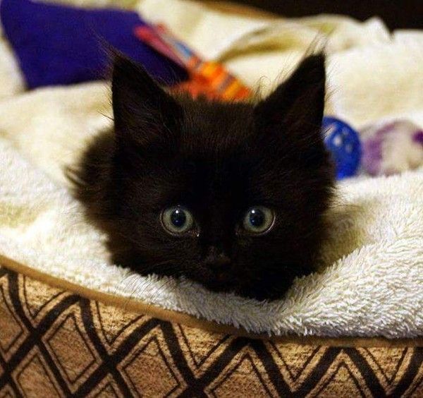 mais on est vendredi..hi.hi..