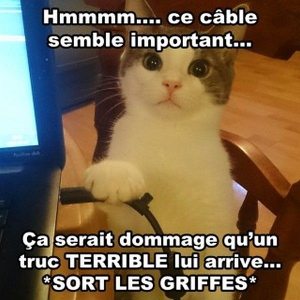 un coup..hi.hi..