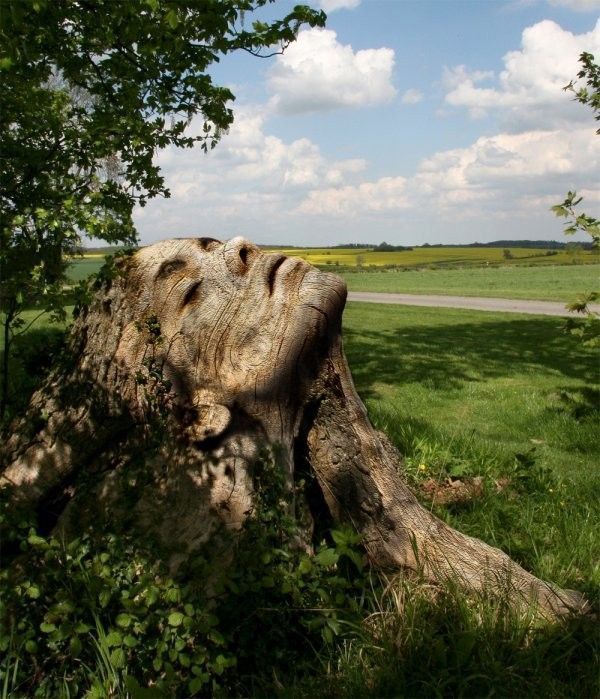 Visage de bois