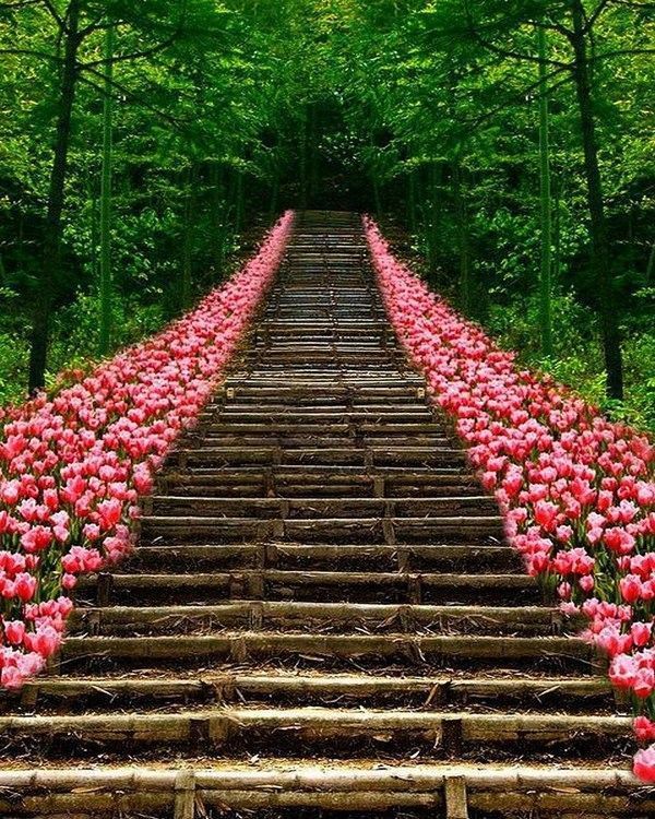 une montée