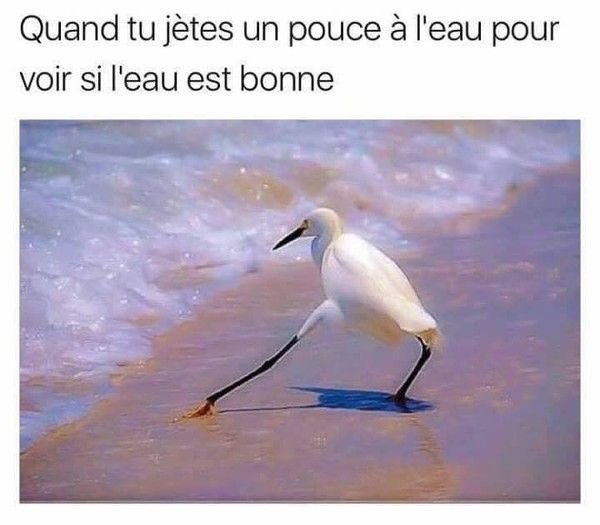 eau est comment