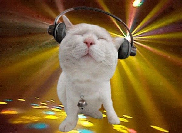 Sans oublié...le DJ....