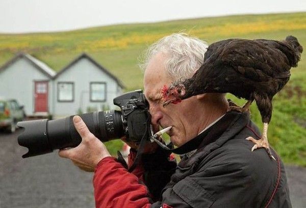 Allé clint...plus à droite....