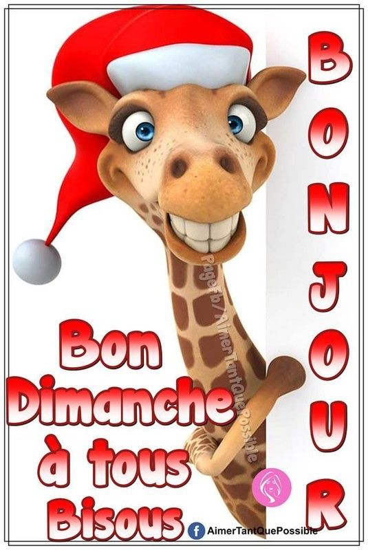 bonjour