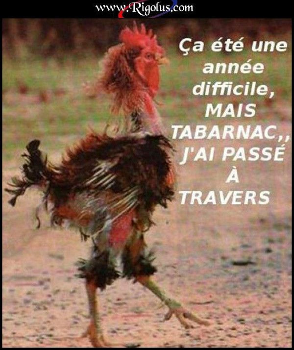 Vous avez trouver votre année DUR...