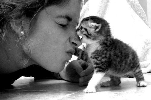 Bisou sur...le nez...