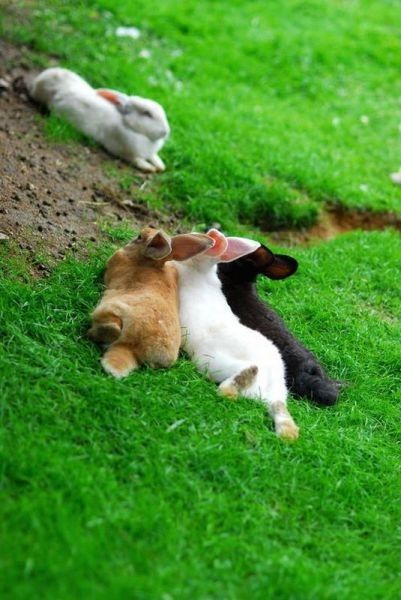 Journée...relax....