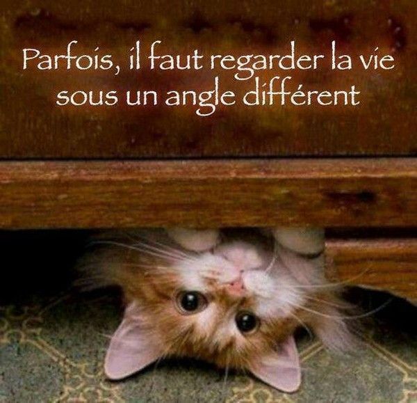 angle...cé..important