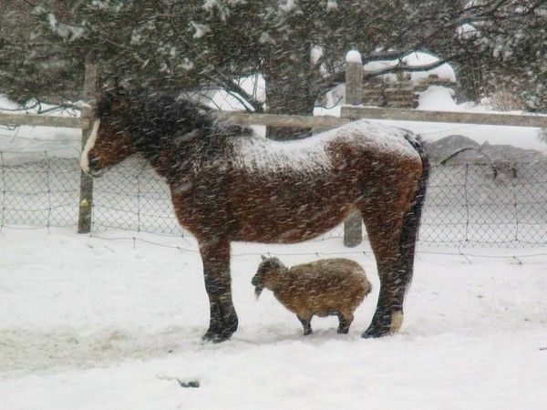 il neige...et on gèlent..hi.hi..