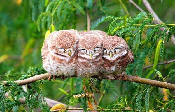 moment tendrese..hi.hi..