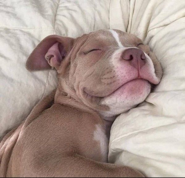 un matin comme 