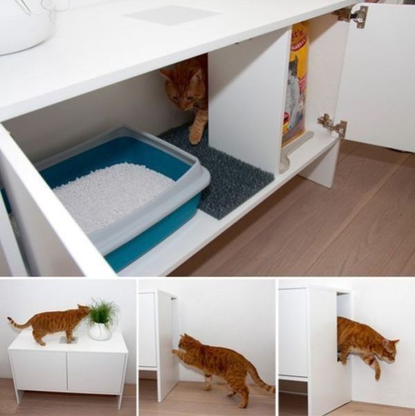 Litière de chat caché...