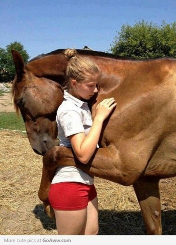 Amour chevalin......NE ME QUITE PAS....