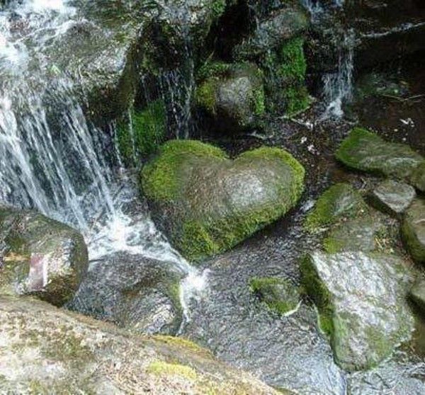 La nature as le coeur....