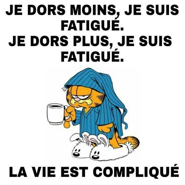 chat reste compliqué......