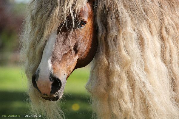 Natte blonde....