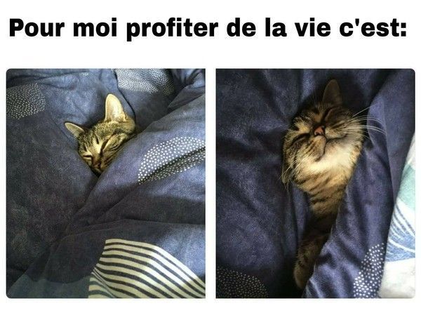 je profite je profite