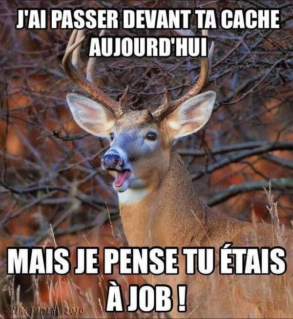 la saison de la chasse