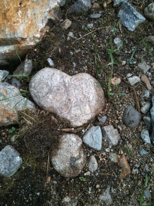 Un coeur dur au naturel