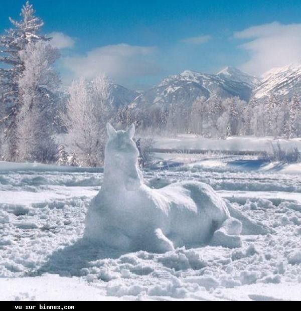 Cheval de neige