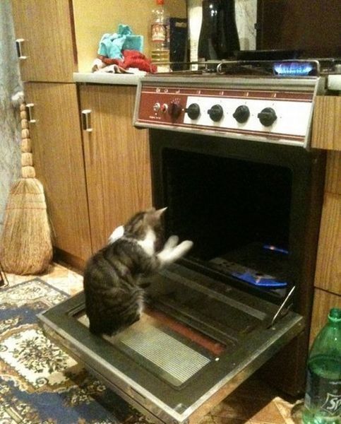 Brrrr...ben trop froid....