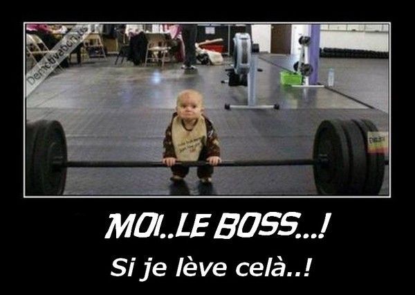 Qui...le boss..!..hi.hi..