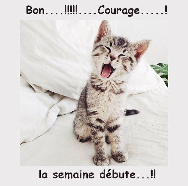 bonne semaine....