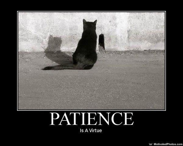 La patience est une vertu..