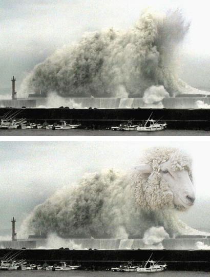 Voyez le mouton dans le nuage