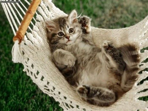 yo...alors .....hi.hi..