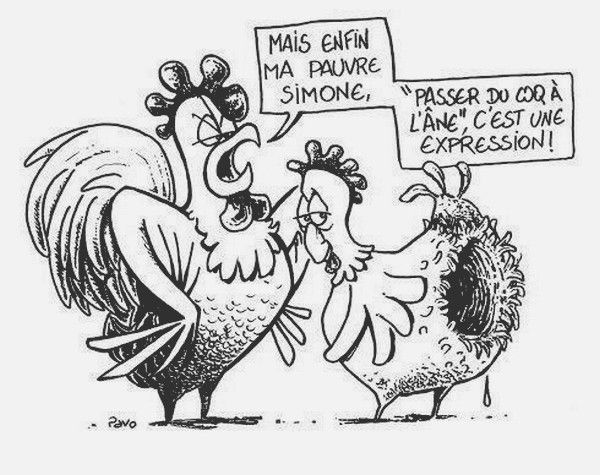 Humour BD