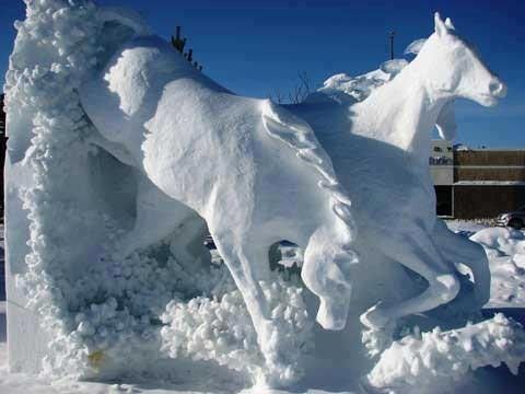 Cheval...de glace